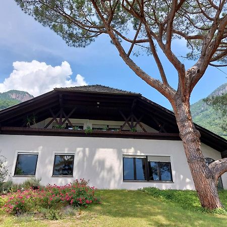 Villa Pinie Apt 1 テルラーノ エクステリア 写真