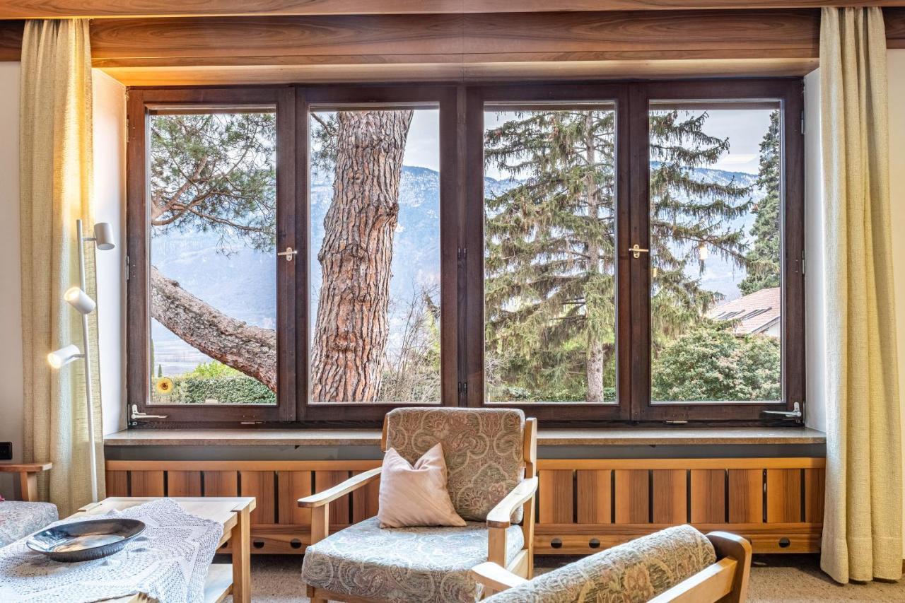 Villa Pinie Apt 1 テルラーノ エクステリア 写真