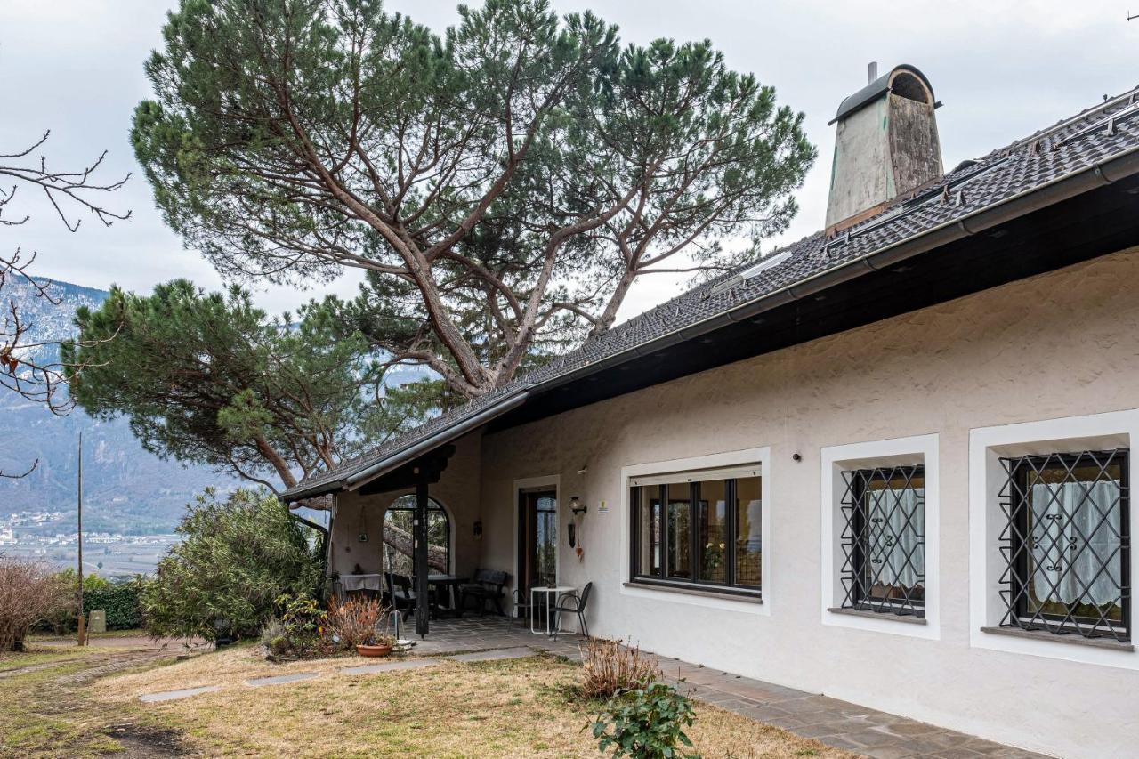 Villa Pinie Apt 1 テルラーノ エクステリア 写真