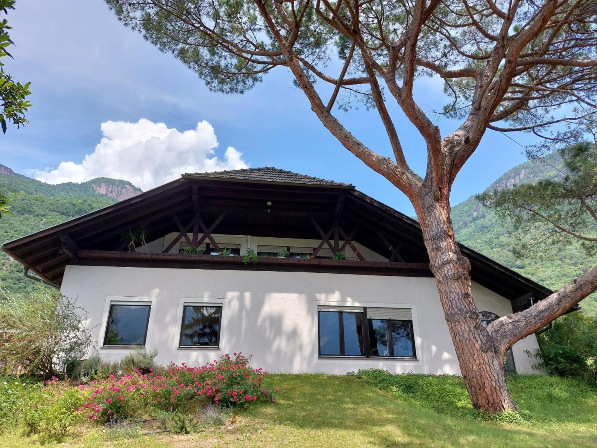 Villa Pinie Apt 1 テルラーノ エクステリア 写真